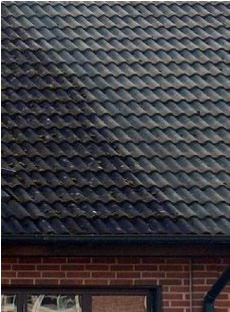 Japex Green-Free 5L līdzeklis pret sūnām, aļģēm un ķērpjiem - jumtiem