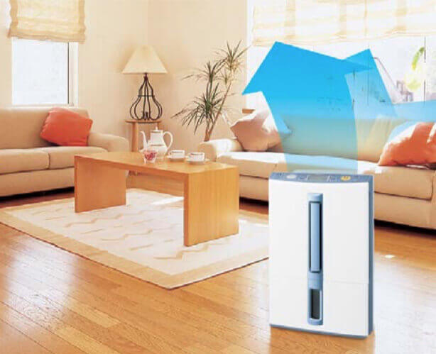 Air Dehumidifier Mitsubishi Electric MJ-E14CG-S1 in the lounge