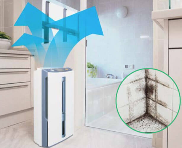 Air Dehumidifier Mitsubishi Electric MJ-E14CG-S1 helps defeat mold